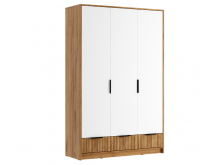 ���� ��-003 ���� (�����)